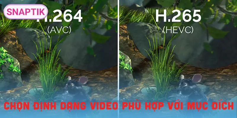 dinh-dang-video-nao-tot-nhat-cach-chon-dung